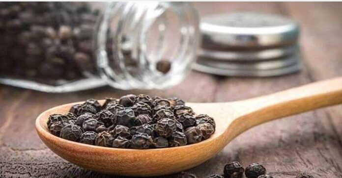 मरिचका ५ वटा दानाले बनाइदिन्छ तपाईंलाई मलामाल, यसरी गर्नुहोस् प्रयोग